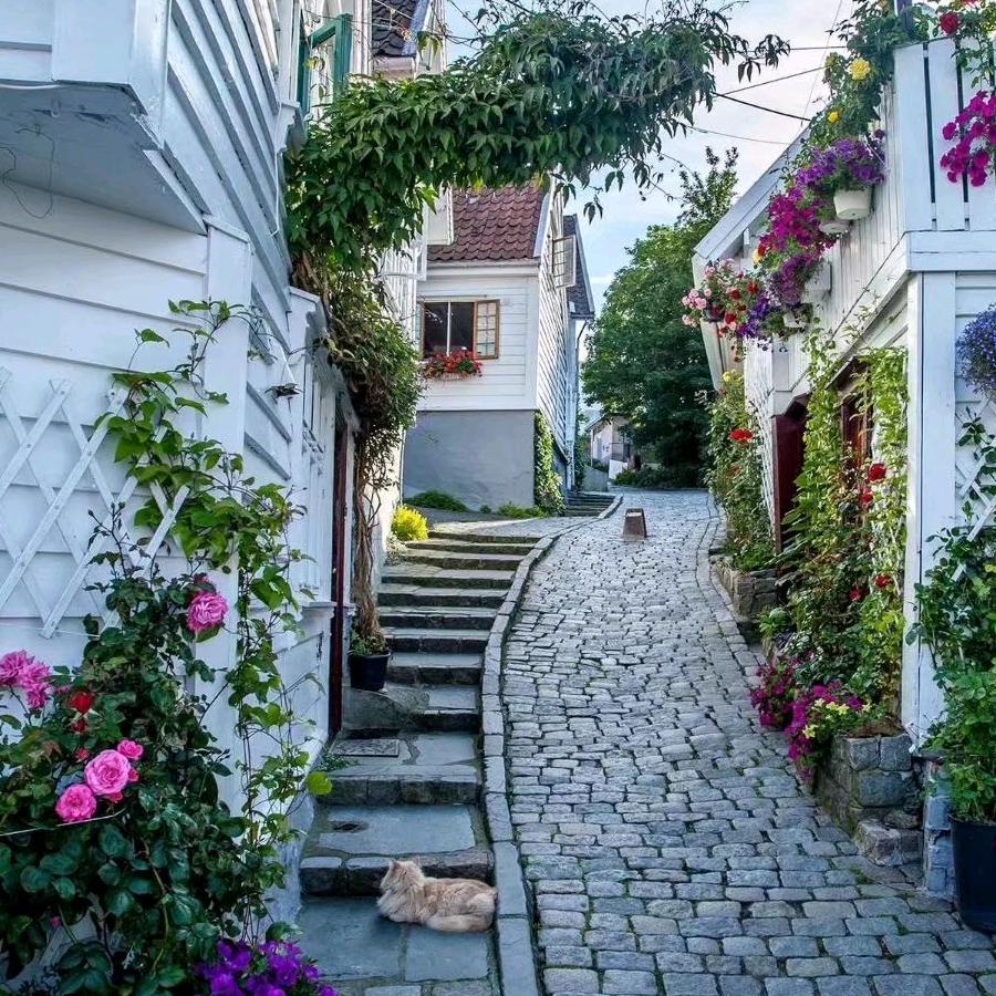 💐美好回忆🌻