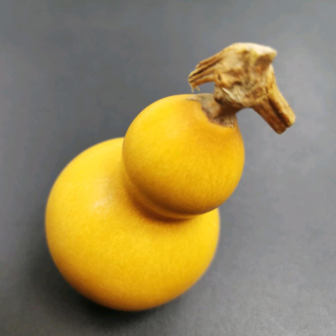 李轩昂