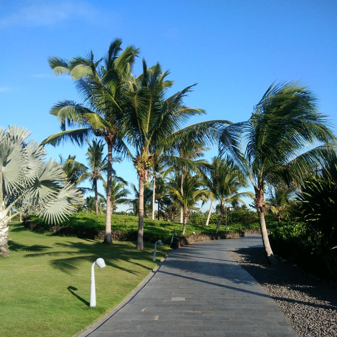 今生只是为了等你