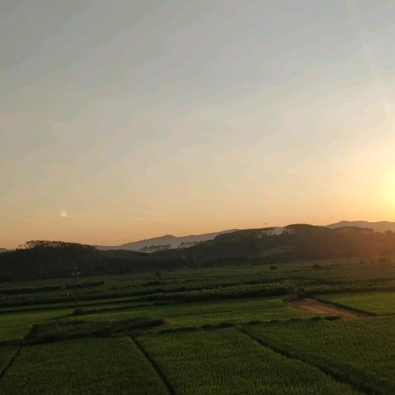 江夏堂