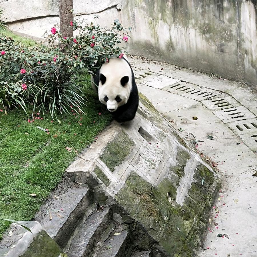 喜欢你