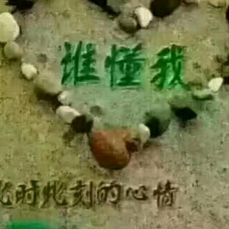 愙歖七七