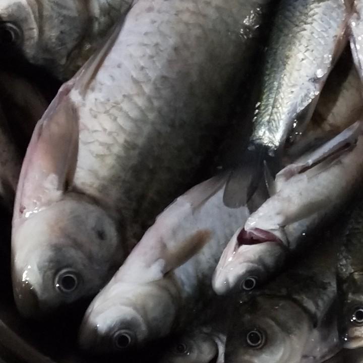 用户3410992141036