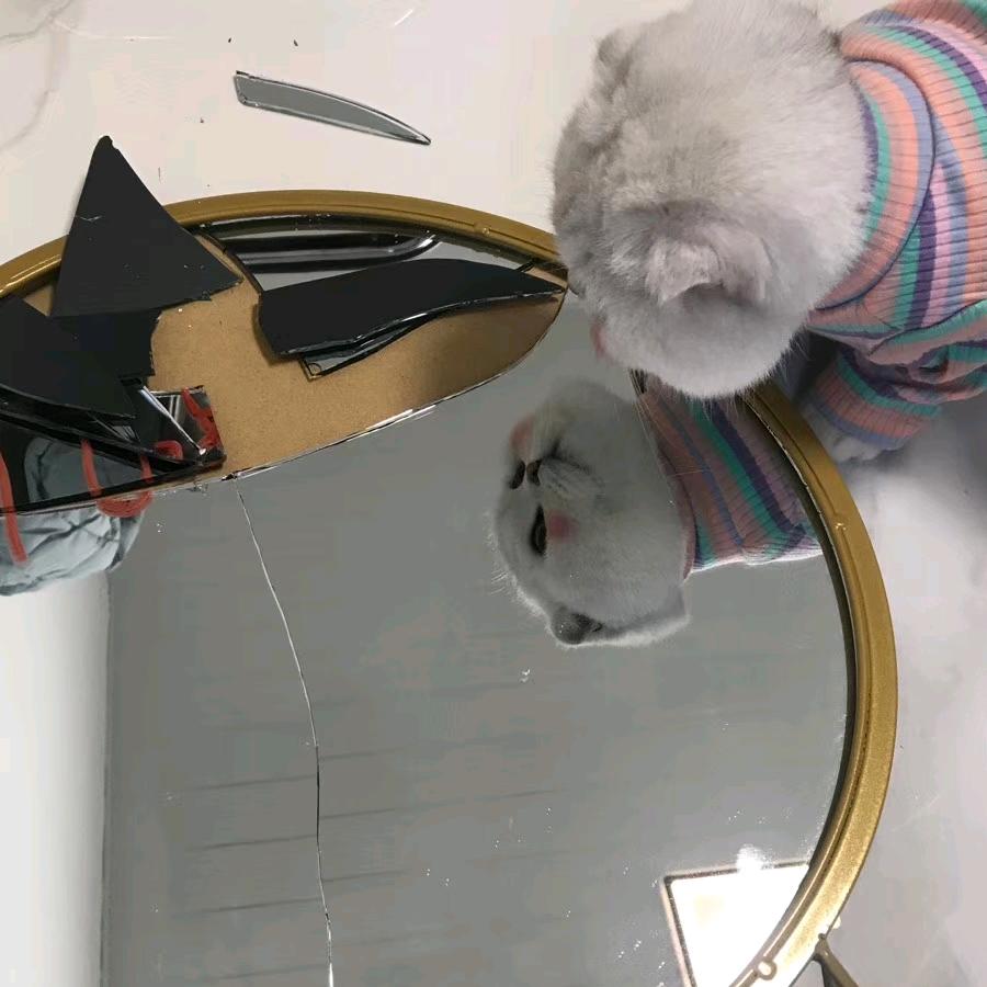 五十六.