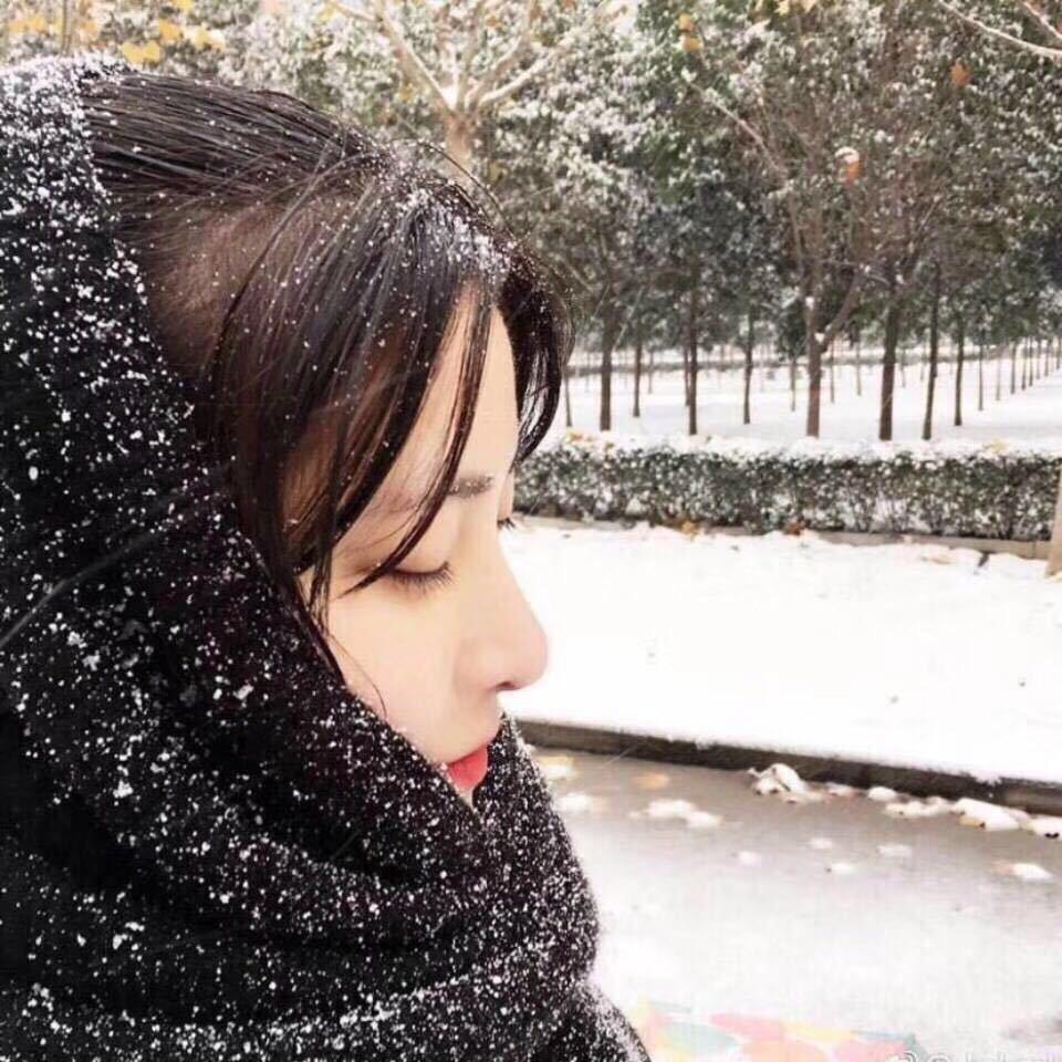 七啊七藏书阁📖（改名啦）