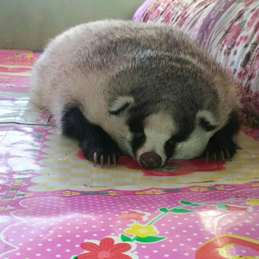 用户🔥🔥🔥独处0801🔥