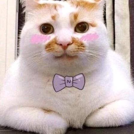 努力