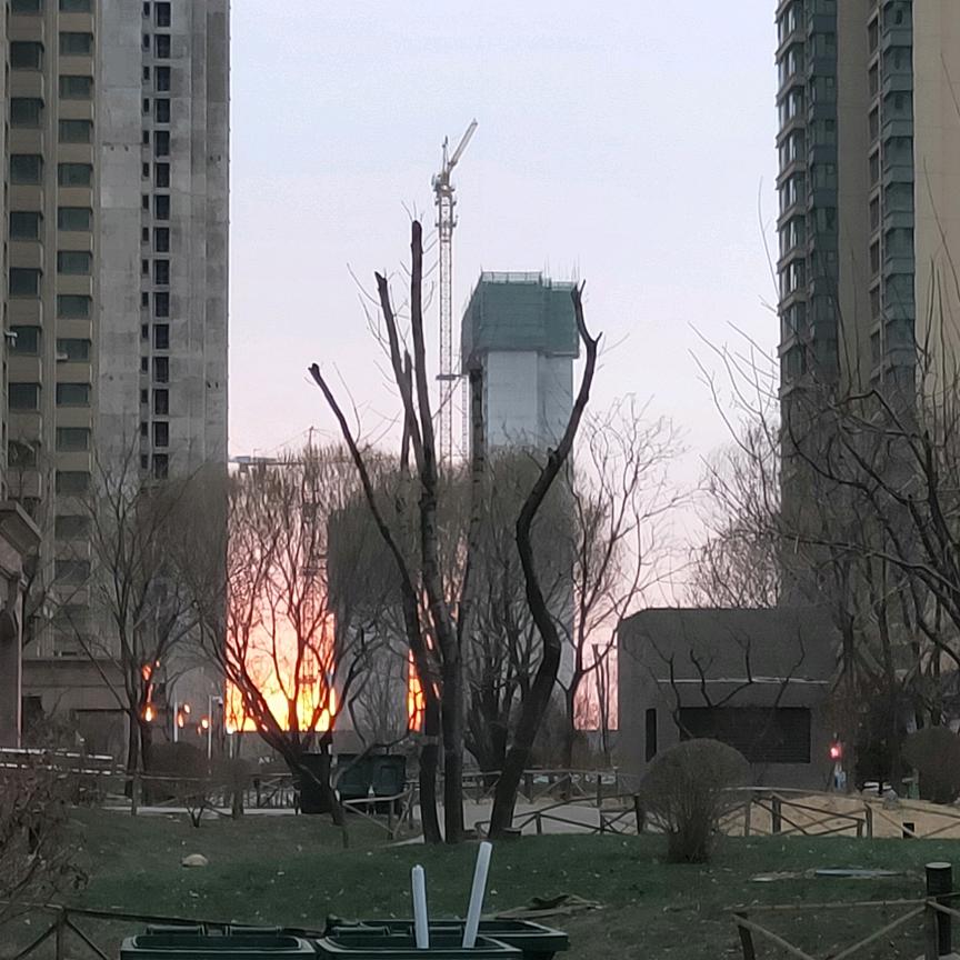 慈兰长慧