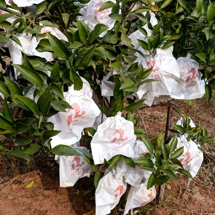 感悟