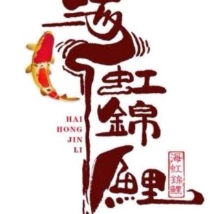 珠海海虹锦鲤