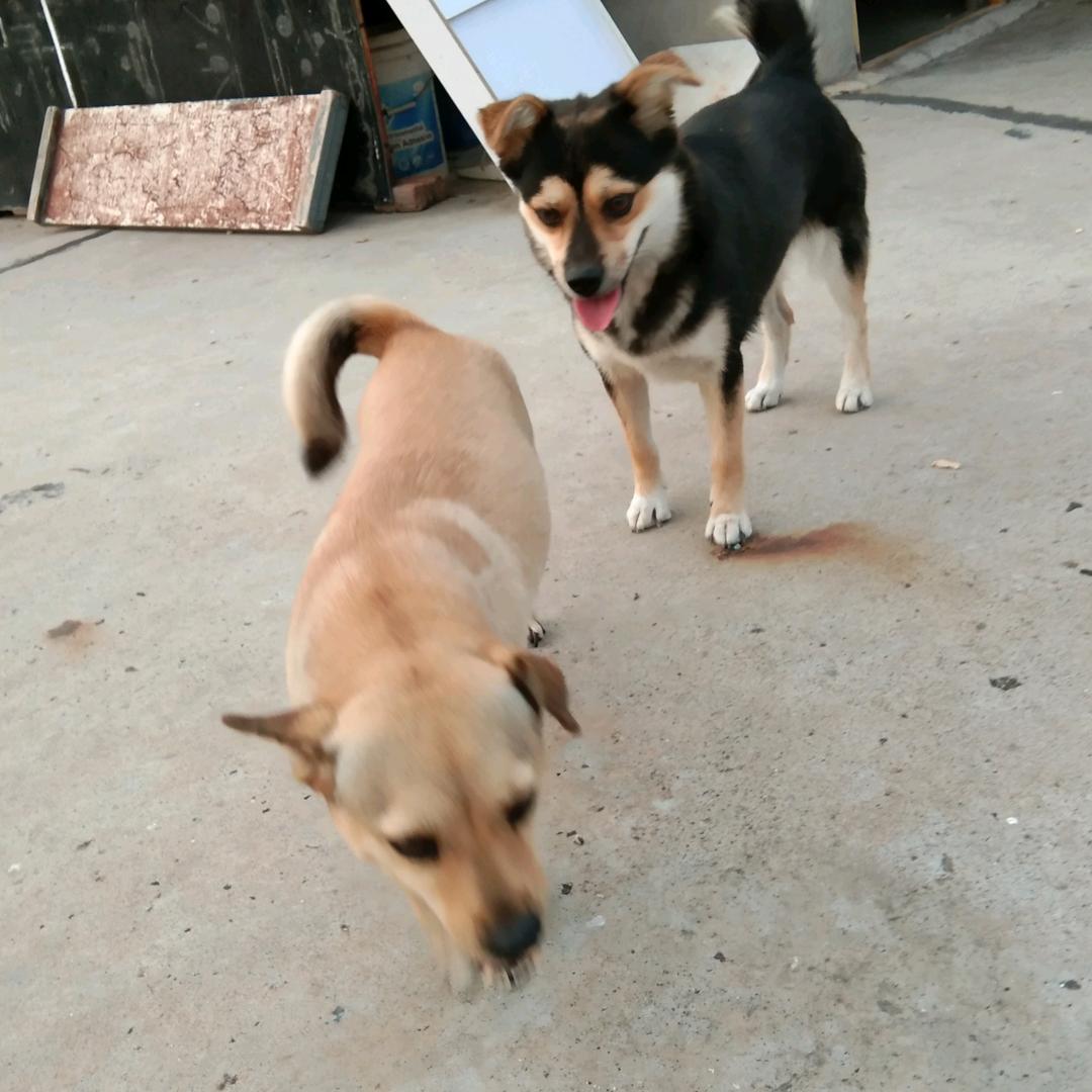 老许