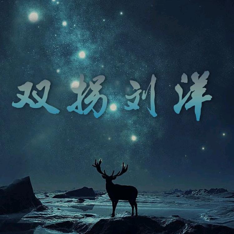 双拐刘洋