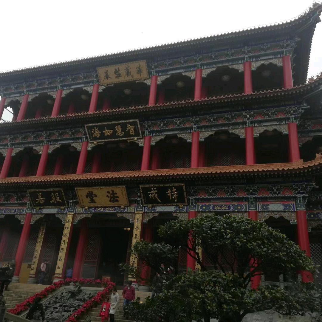 命苦