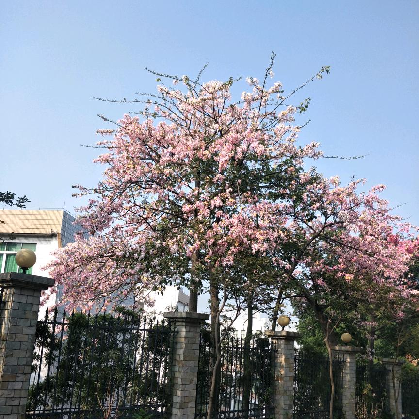 豫見