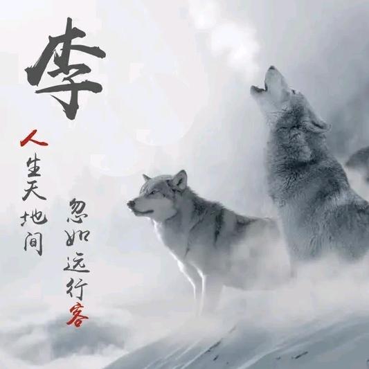 淹死的鱼儿摆摆