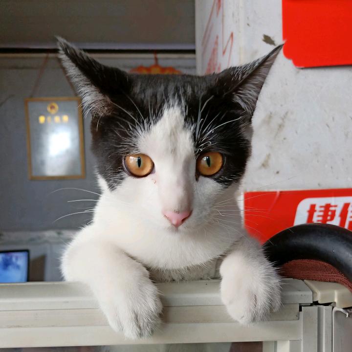 李燕