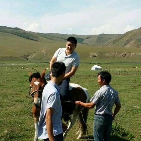 老王和他的朋友们