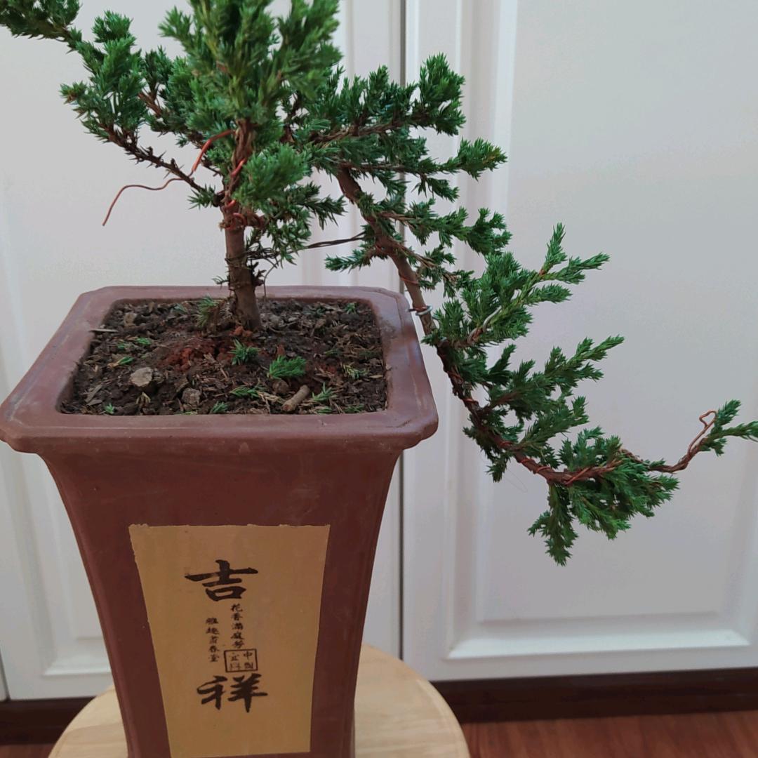 现在，“请勿连赞，连赞拉黑”