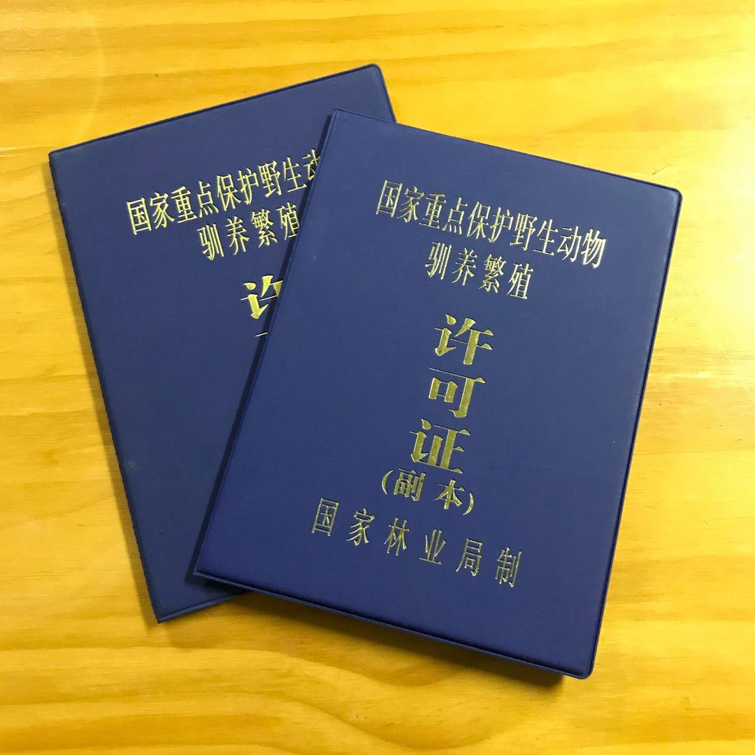 中山市亚马逊农业养殖有限公司