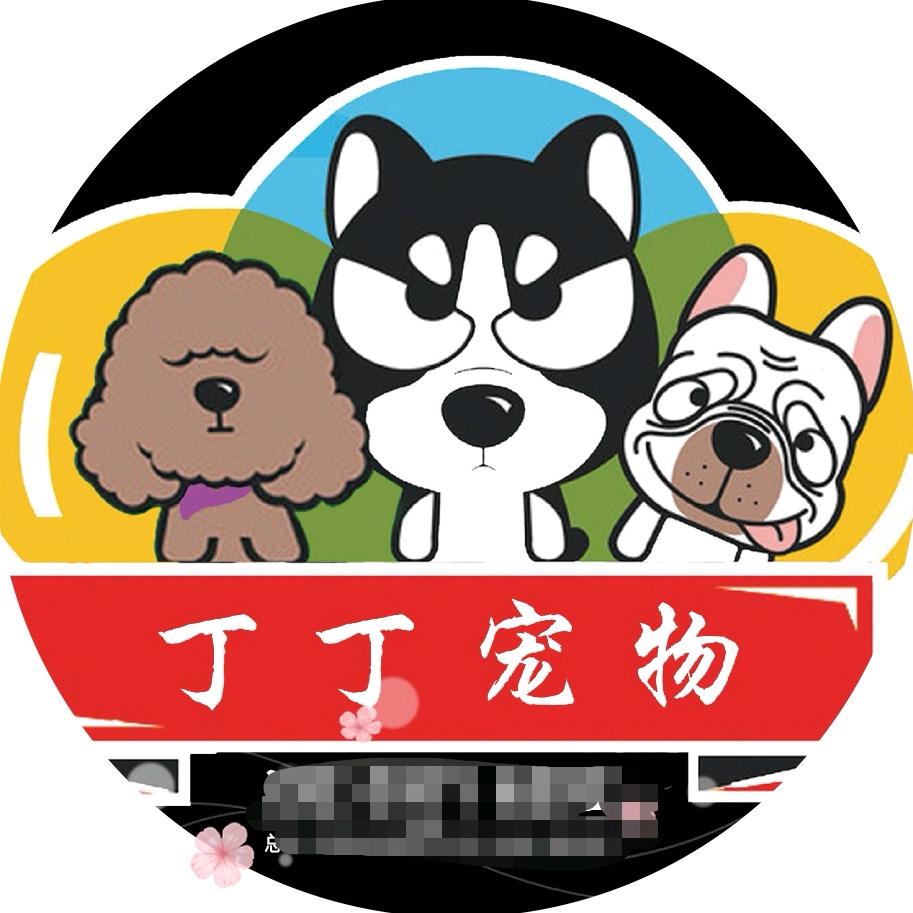 西宁丁丁宠物