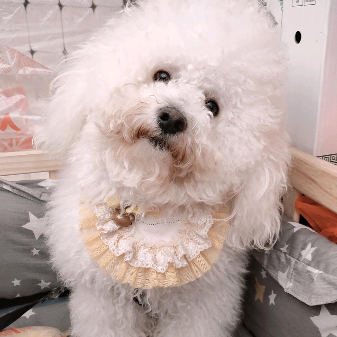 胡桃姐💋