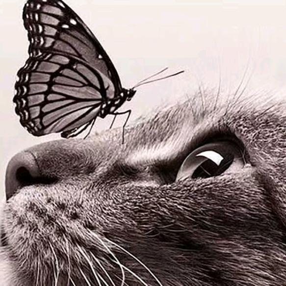 🍂@້໌.   @ღ᭄ꦿ时࿐ 光এ