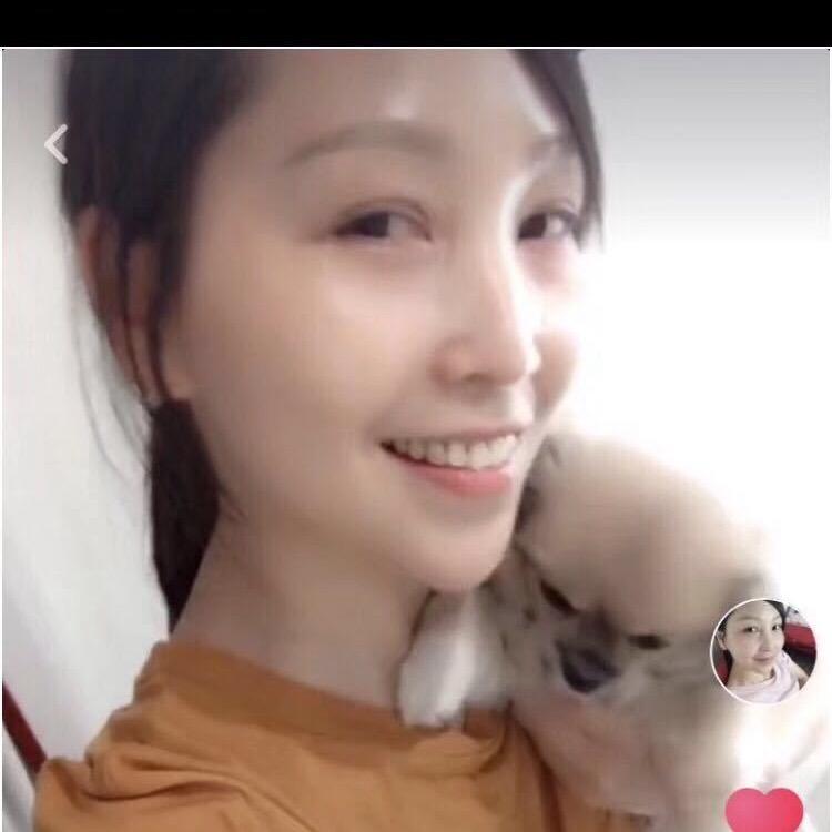 可乐狗的名字