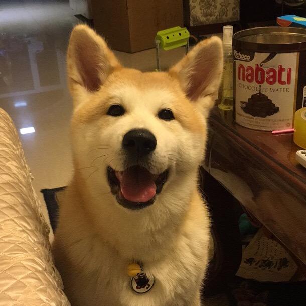 🐳 小瓶子~荼荼