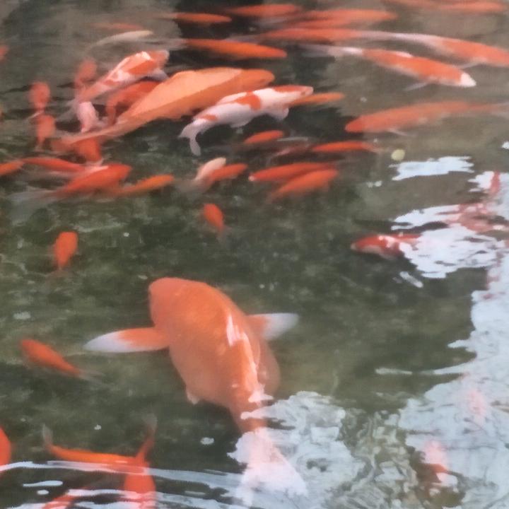 浮云
