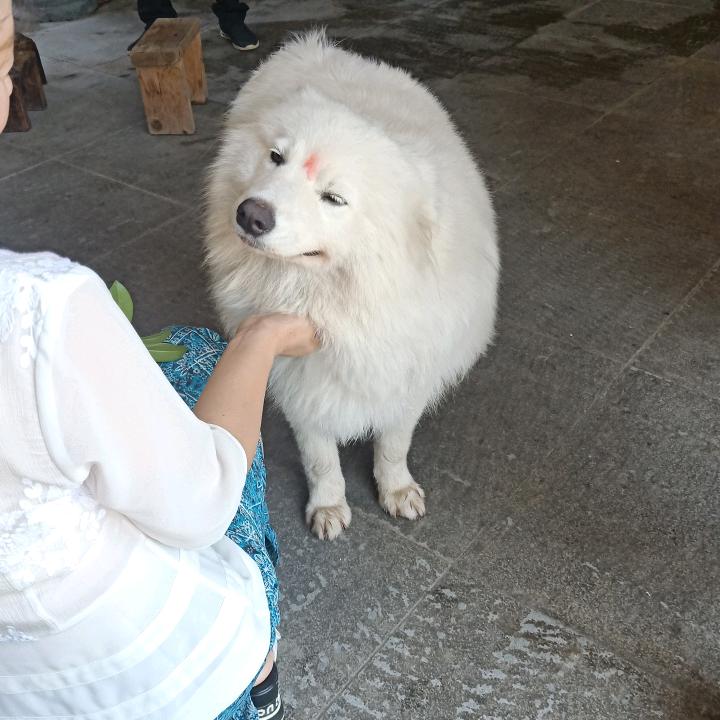 储德海