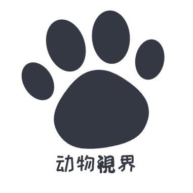 动物視界