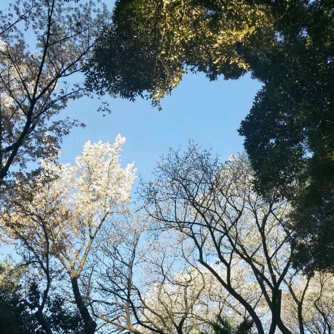 张建通