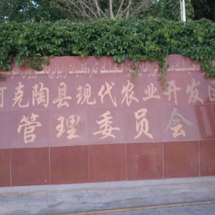 艾麦提 俊杰农资 菜苗网红