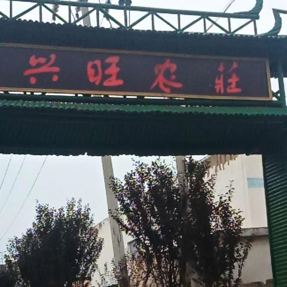 兴旺农庄郑兵