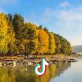 yunsheng