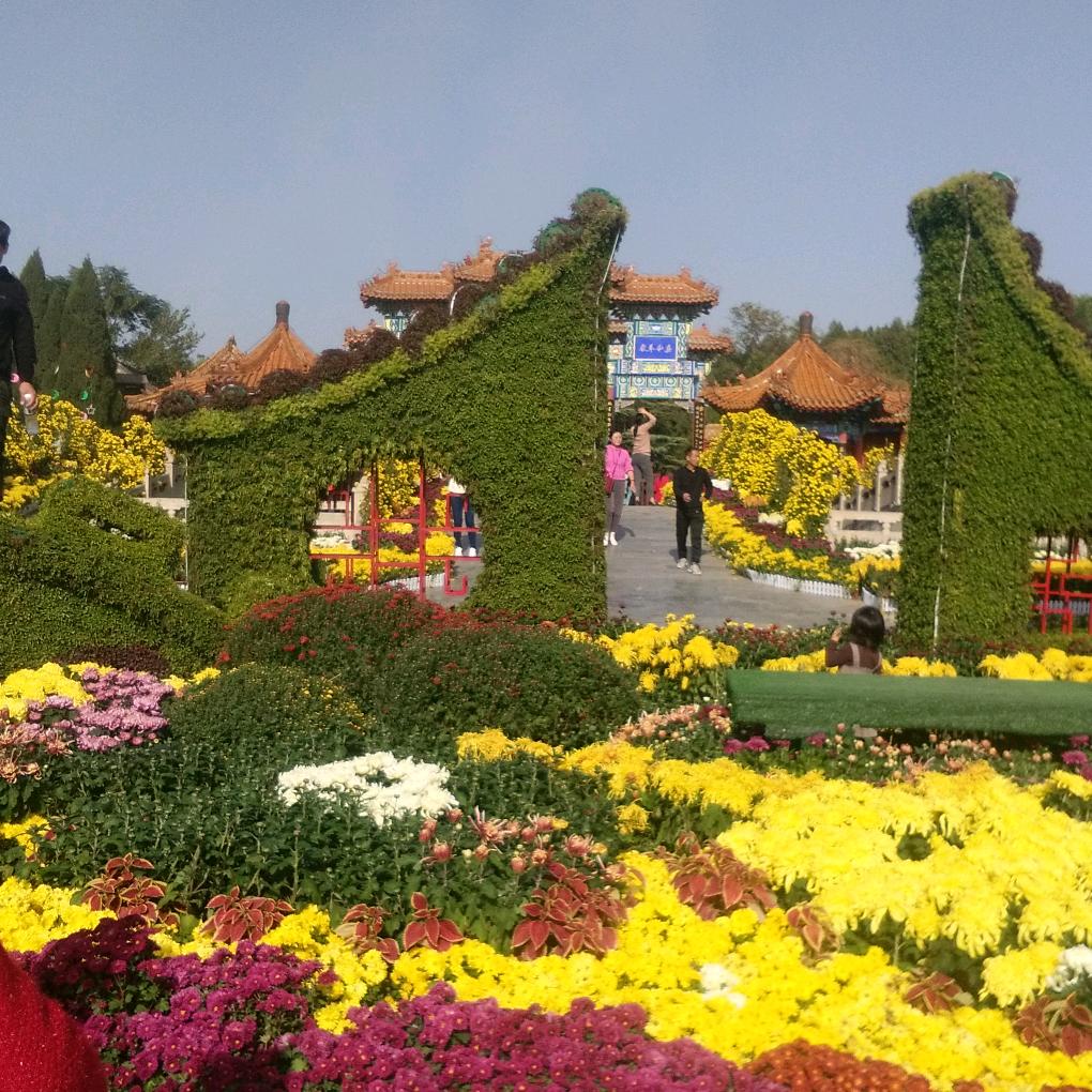 晚秋