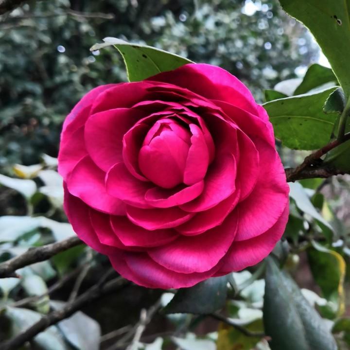 不念过往，不畏将来