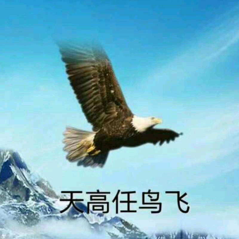 半梦半醒半沉醉