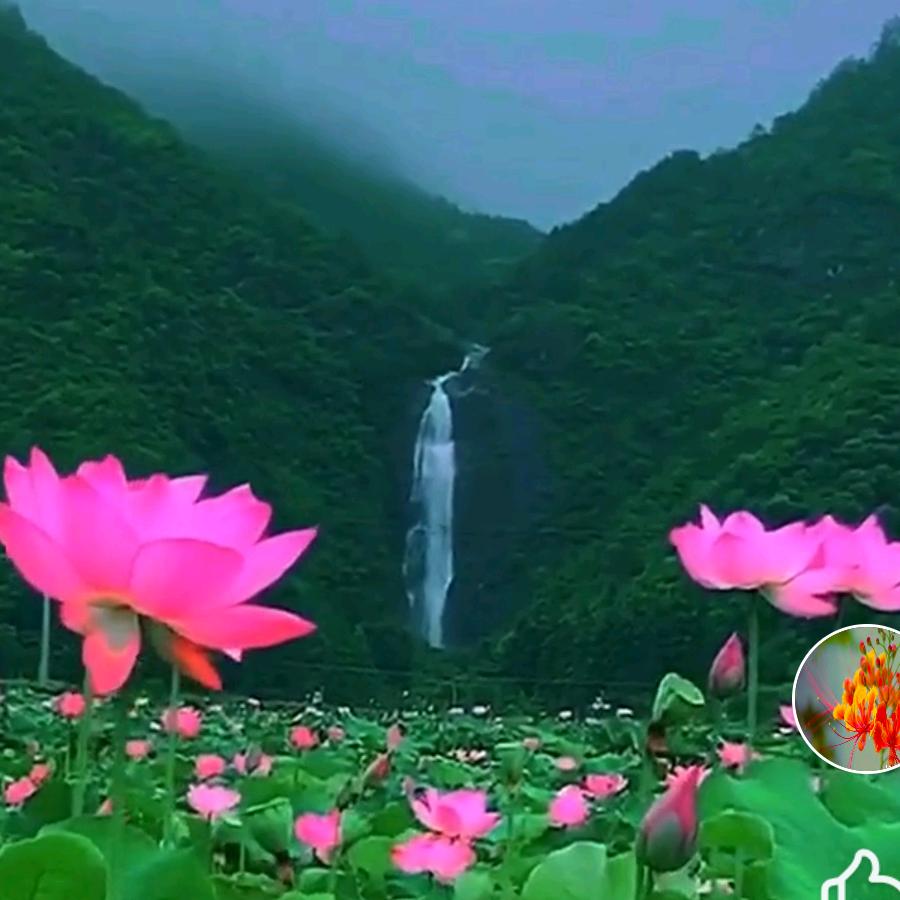 一生平安🌹🌺🌷