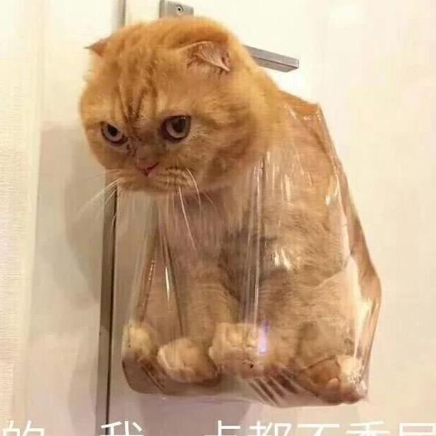 唐三