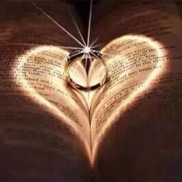 BOP保镖施甸美车授权店