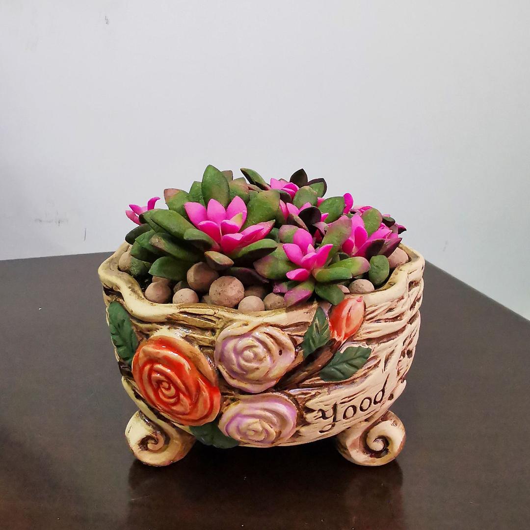 春暖花开