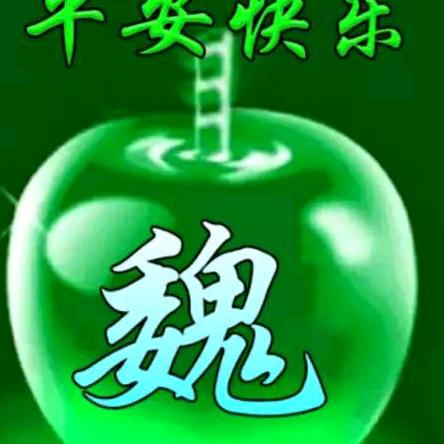 🌺🌸🌲🌲魏尽美🌲🌲🌸🌺