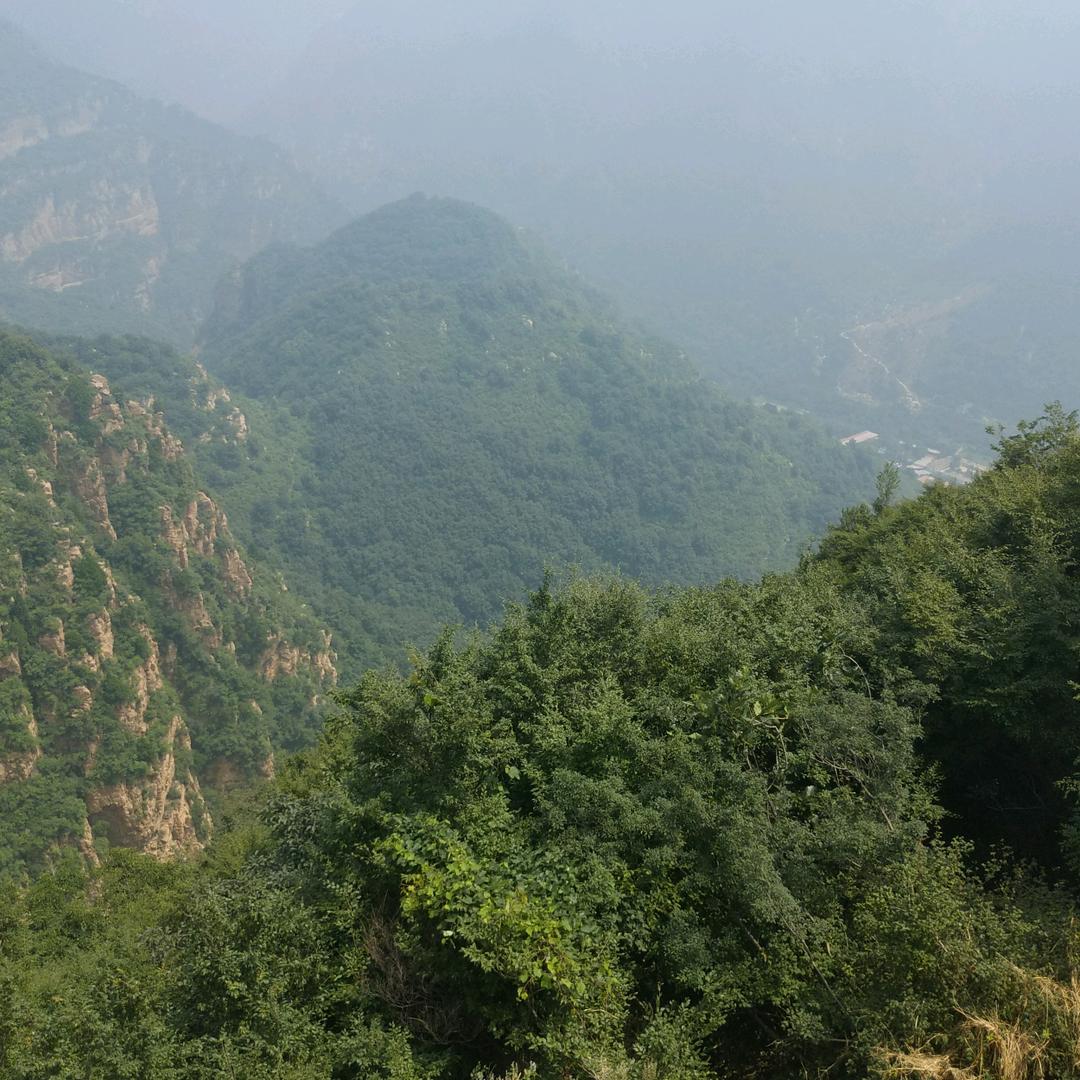 爱情也有保质期