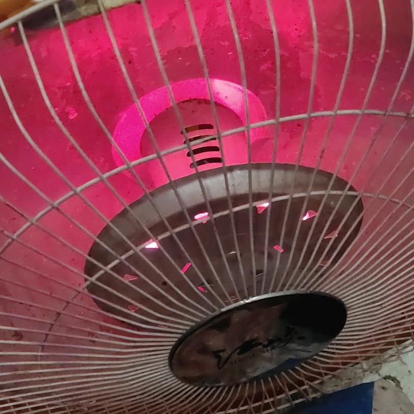 有你就幸福