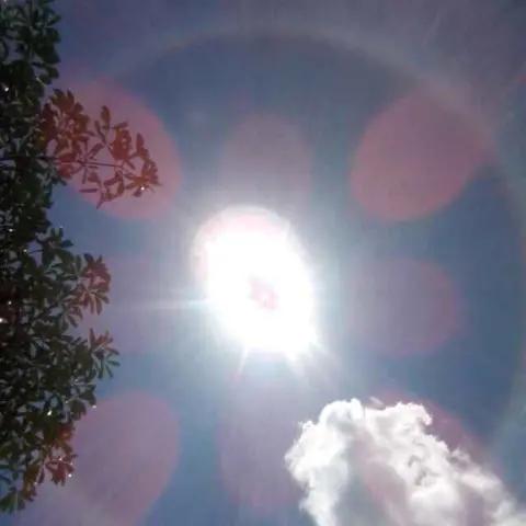 春色满园(๑•̌.•̑๑)