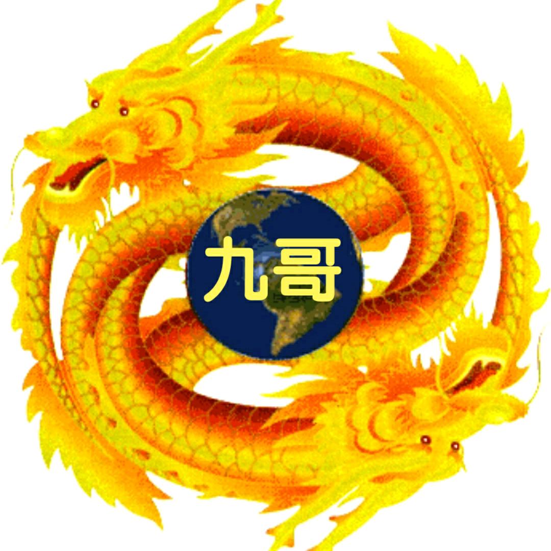 九哥CEO