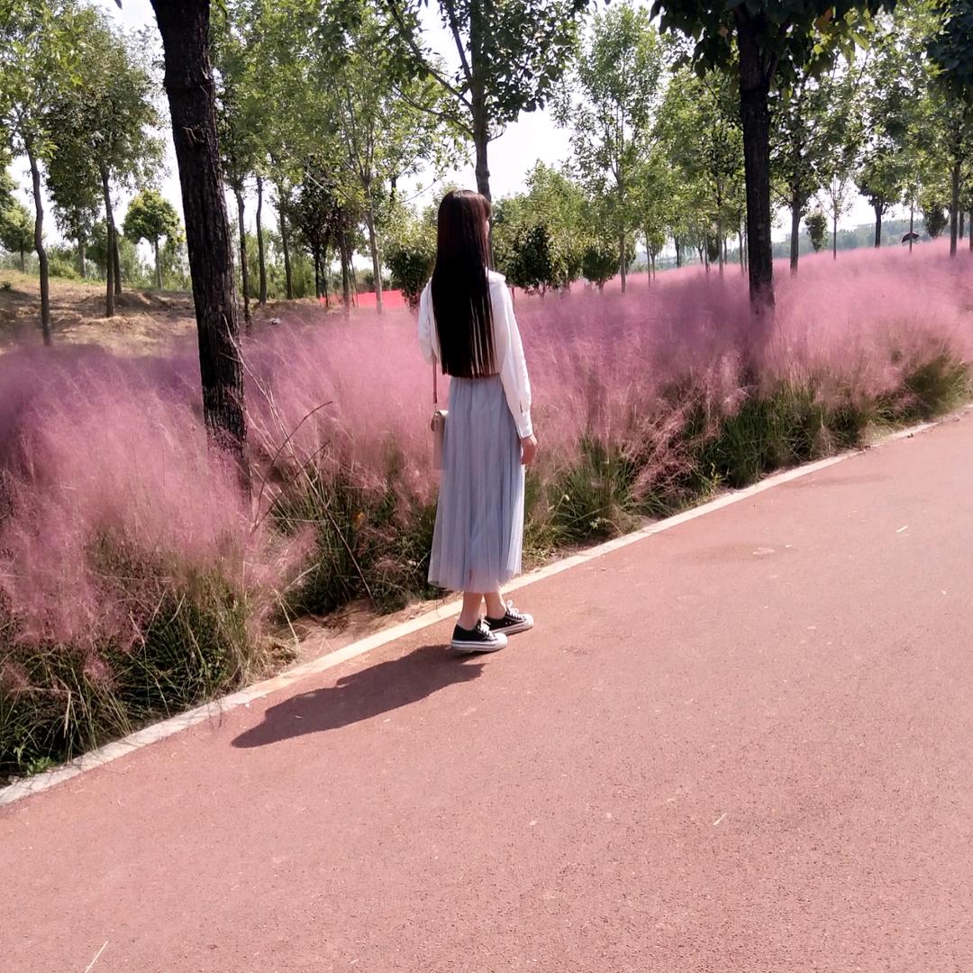 四叶草