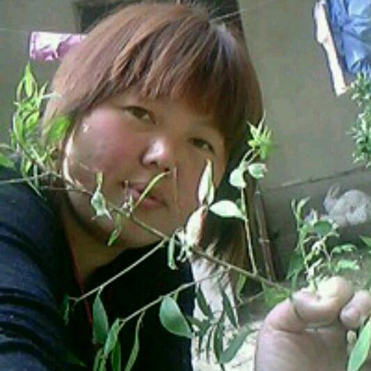 萍馨心语