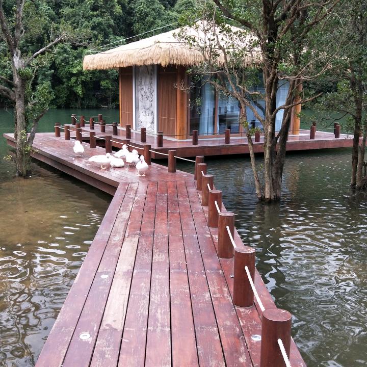 小王子